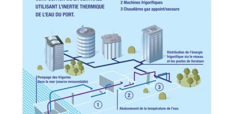 thassalia1, janv. 2015