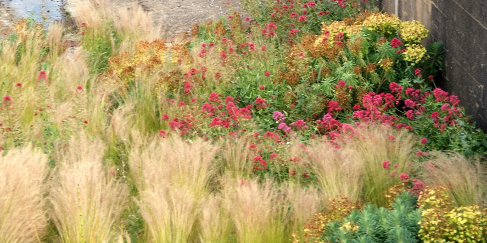 Gilles Clément jardin du tiers paysage