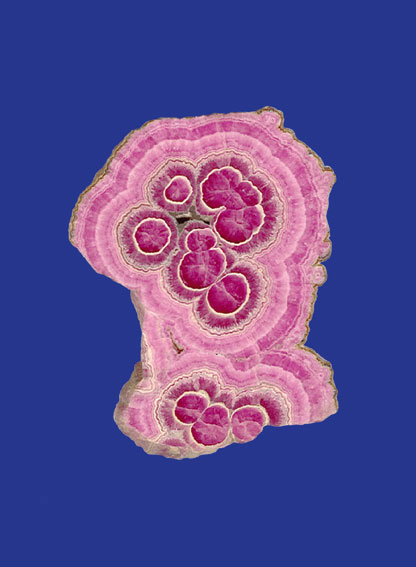 mariana-castillo-deball-memoire-interlope1