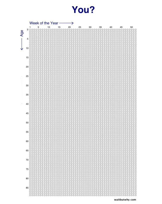 The life in weeks you