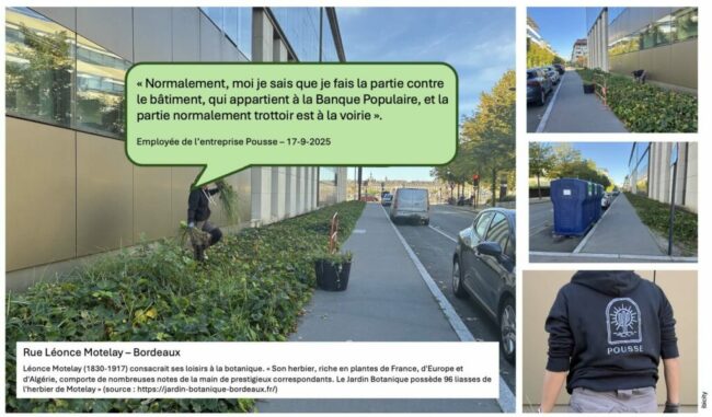 qui-entretient-le-vert-small-1024×601